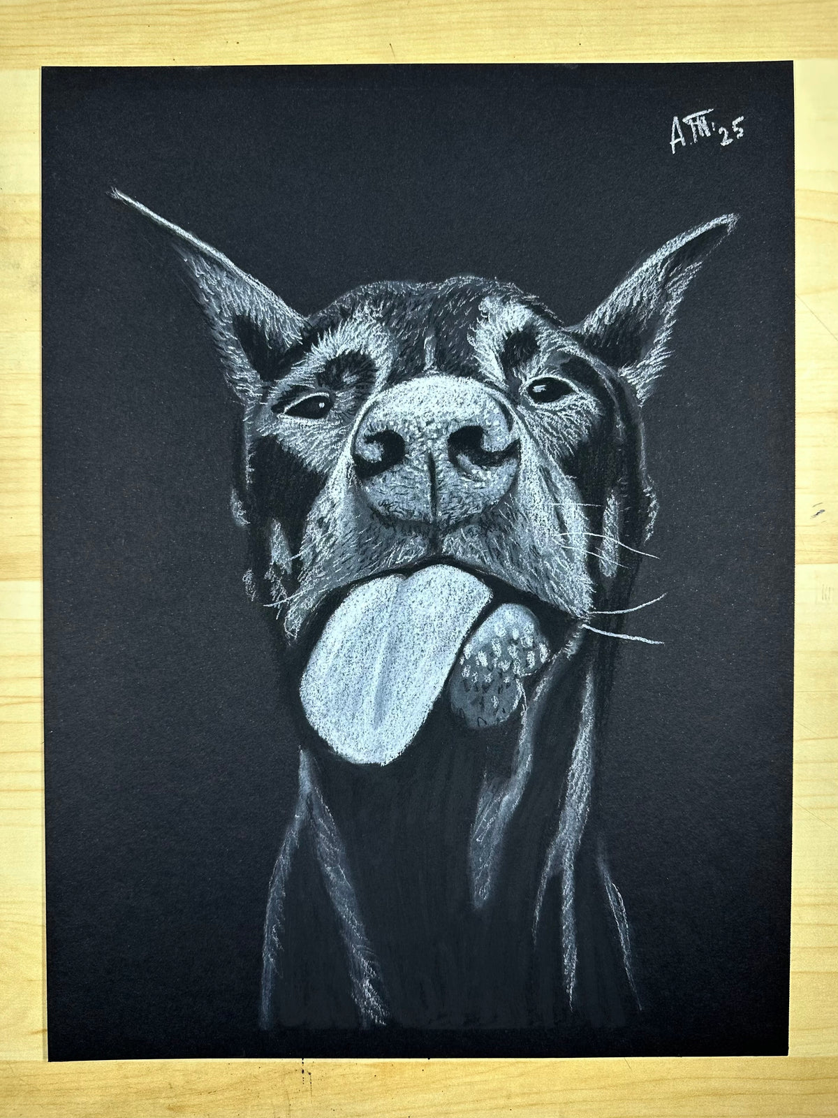 Doberman – Original Charcoal Drawing 9 × 12
