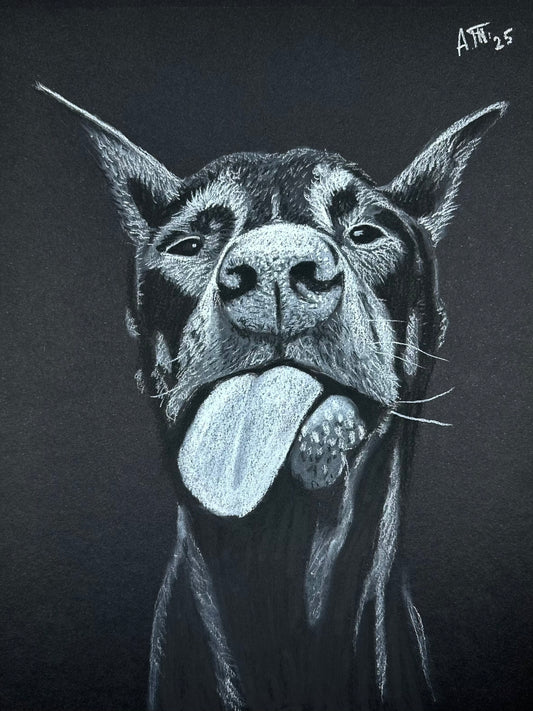 Doberman – Original Charcoal Drawing 9 × 12