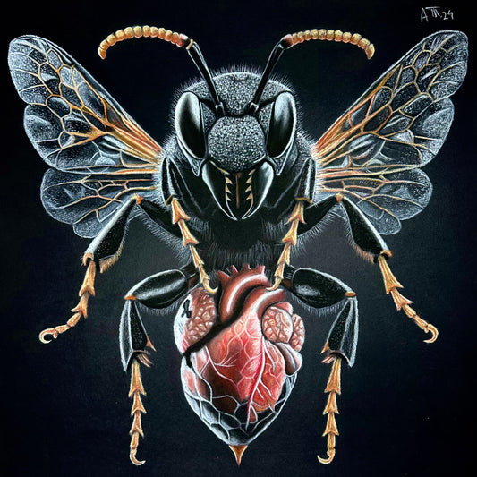 Heart of the Hive – Original Pastel Drawing on Black Paper - 20 x 20