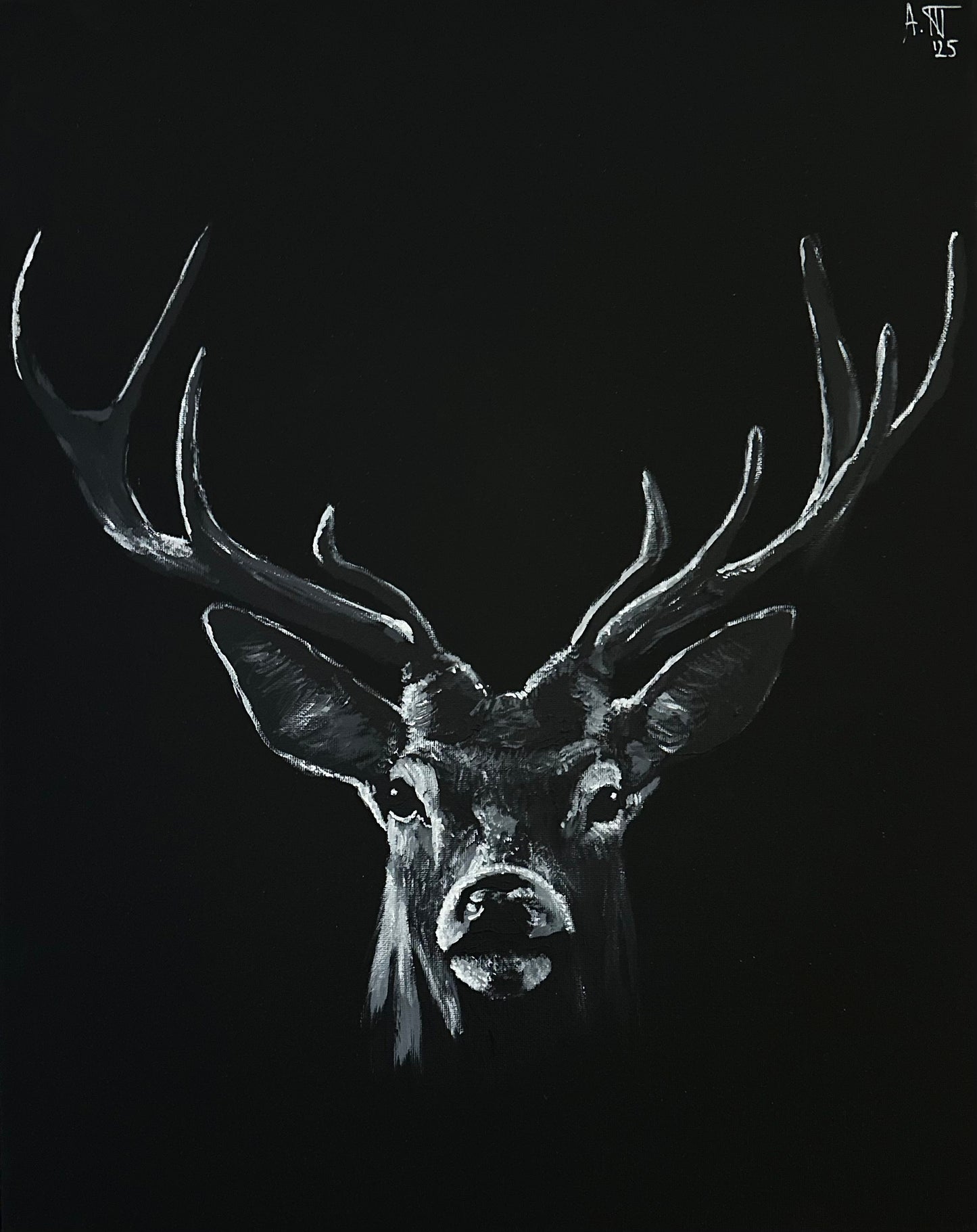 Monochrome: Deer