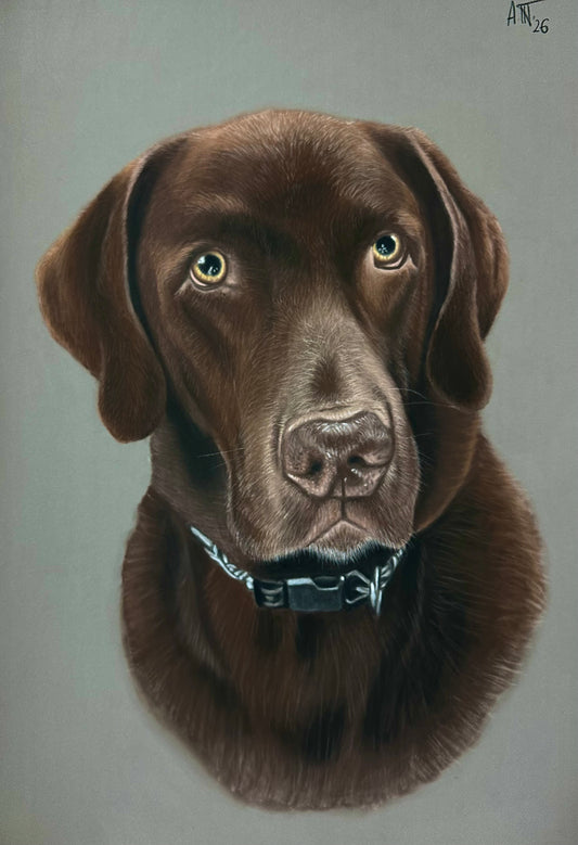 Commissioned Portraits – Custom Fine Art Pet & Animal Artwork