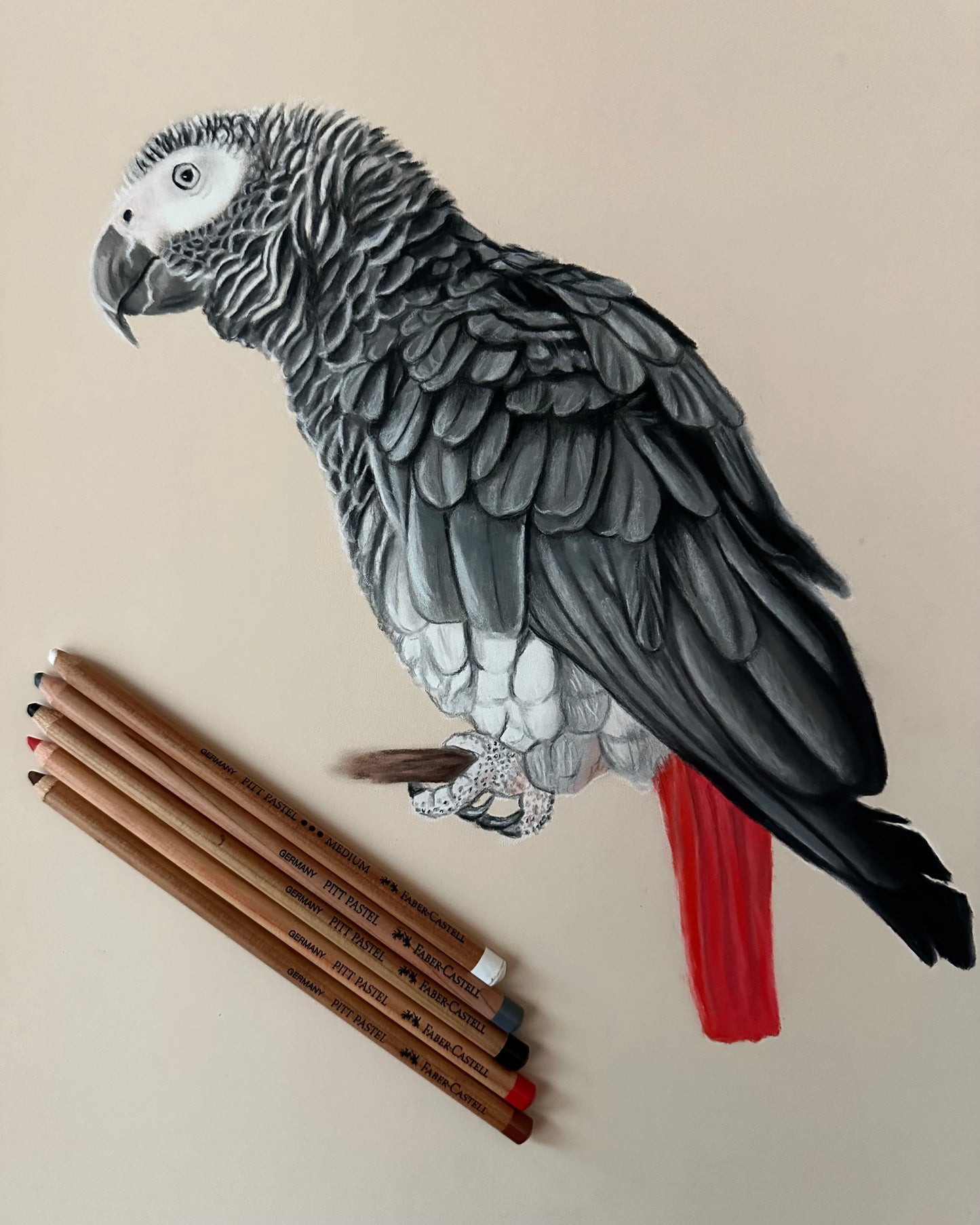 Commissioned Portraits – Custom Fine Art Pet & Animal Artwork