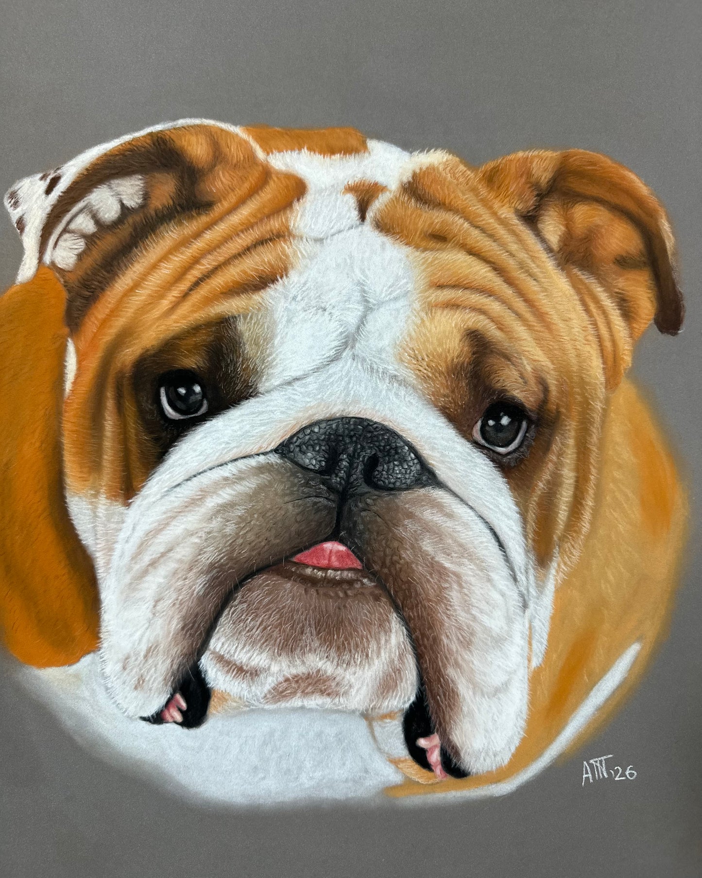 Commissioned Portraits – Custom Fine Art Pet & Animal Artwork