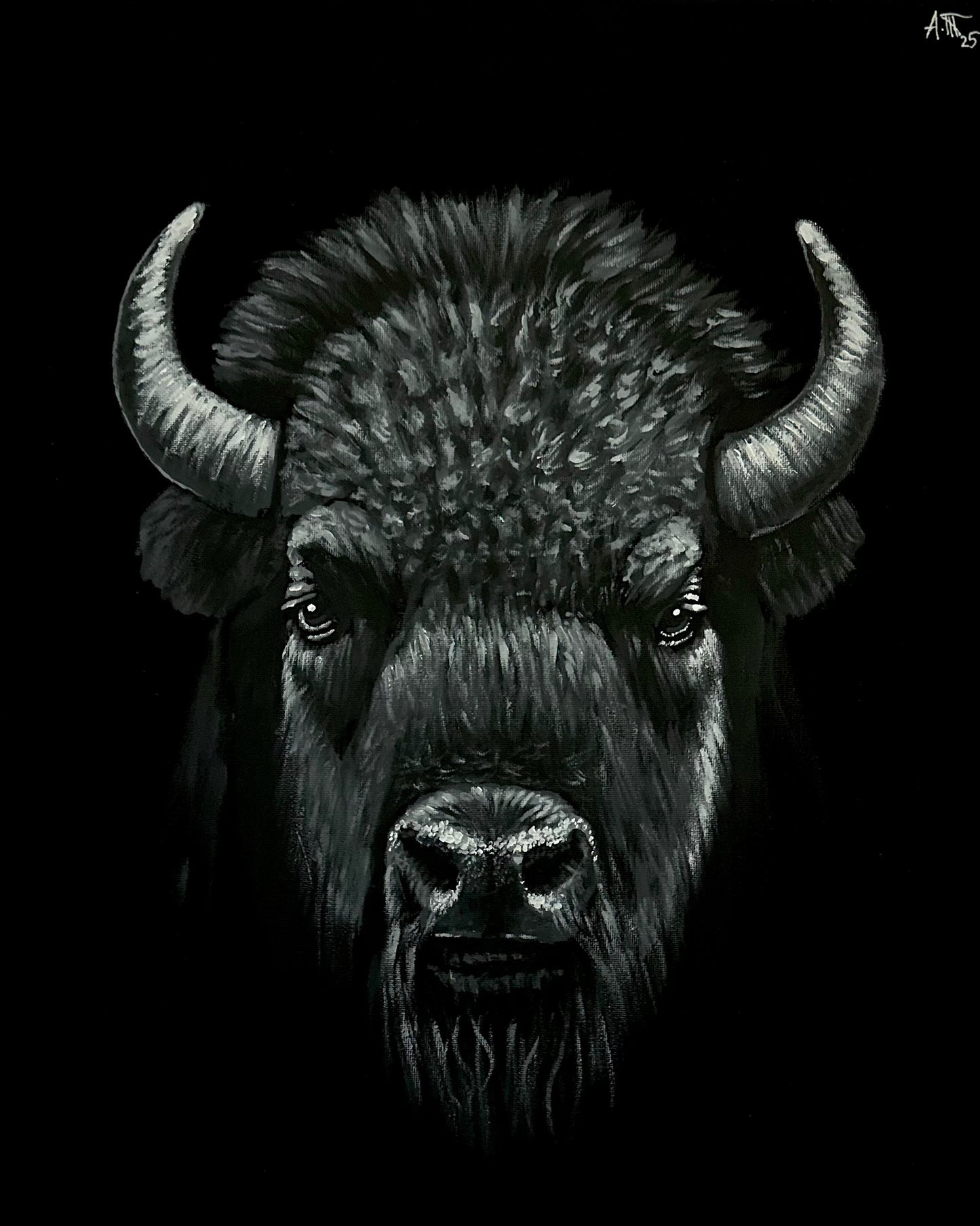 Monochrome: Bison (Buffalo)