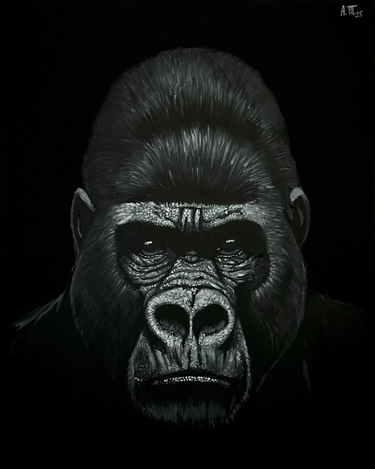 Monochrome: Gorilla