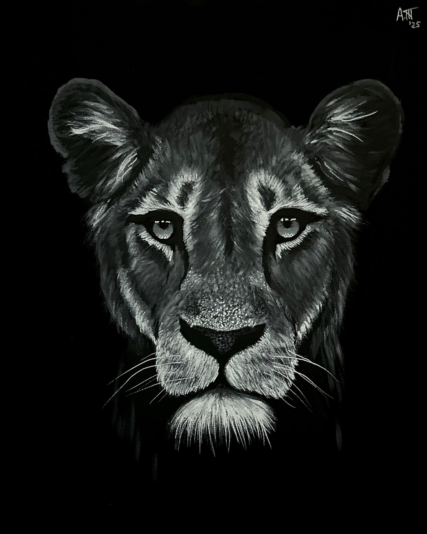 Monochrome: Lioness