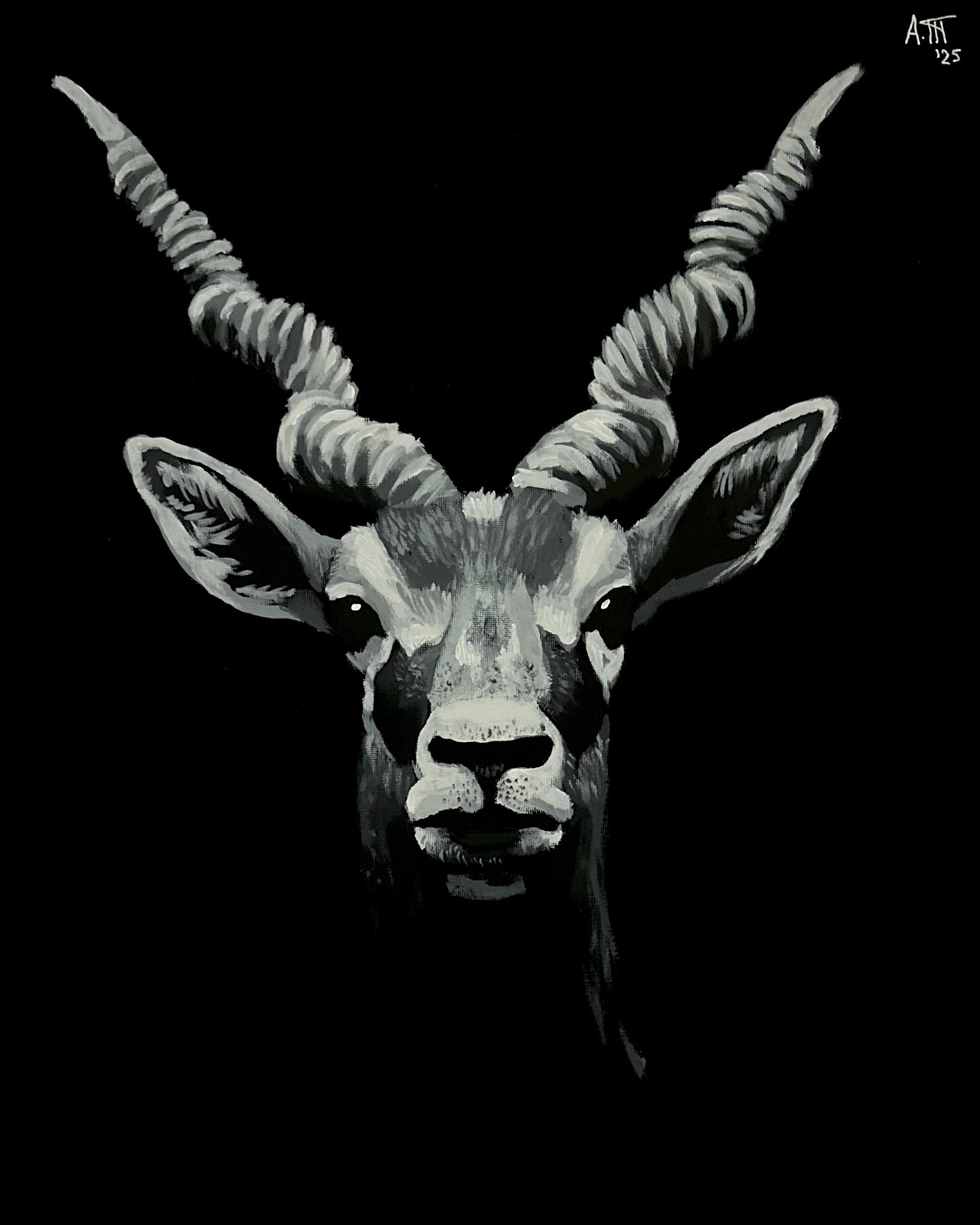 Monochrome: Antelope