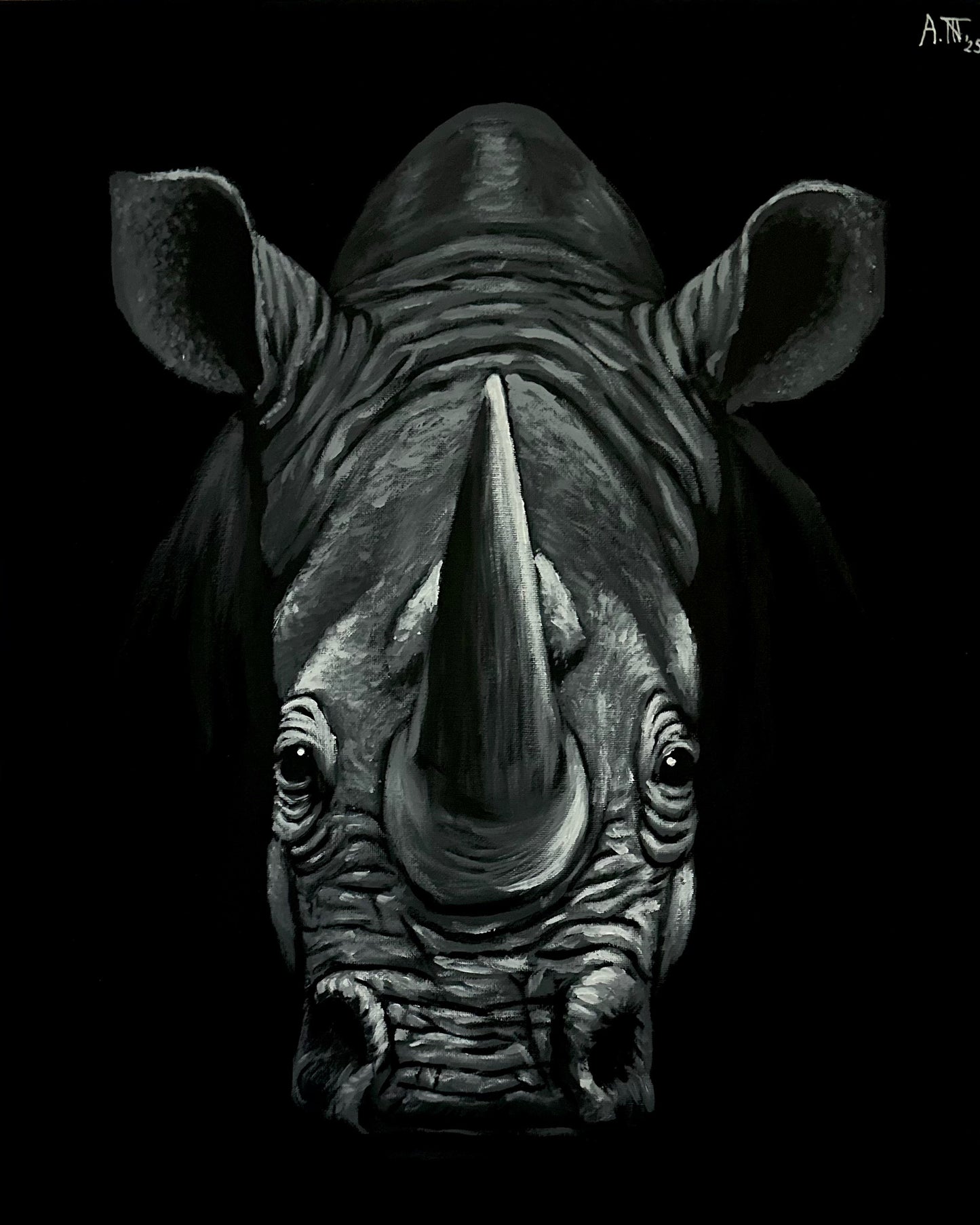 Monochrome: Rhinoceros