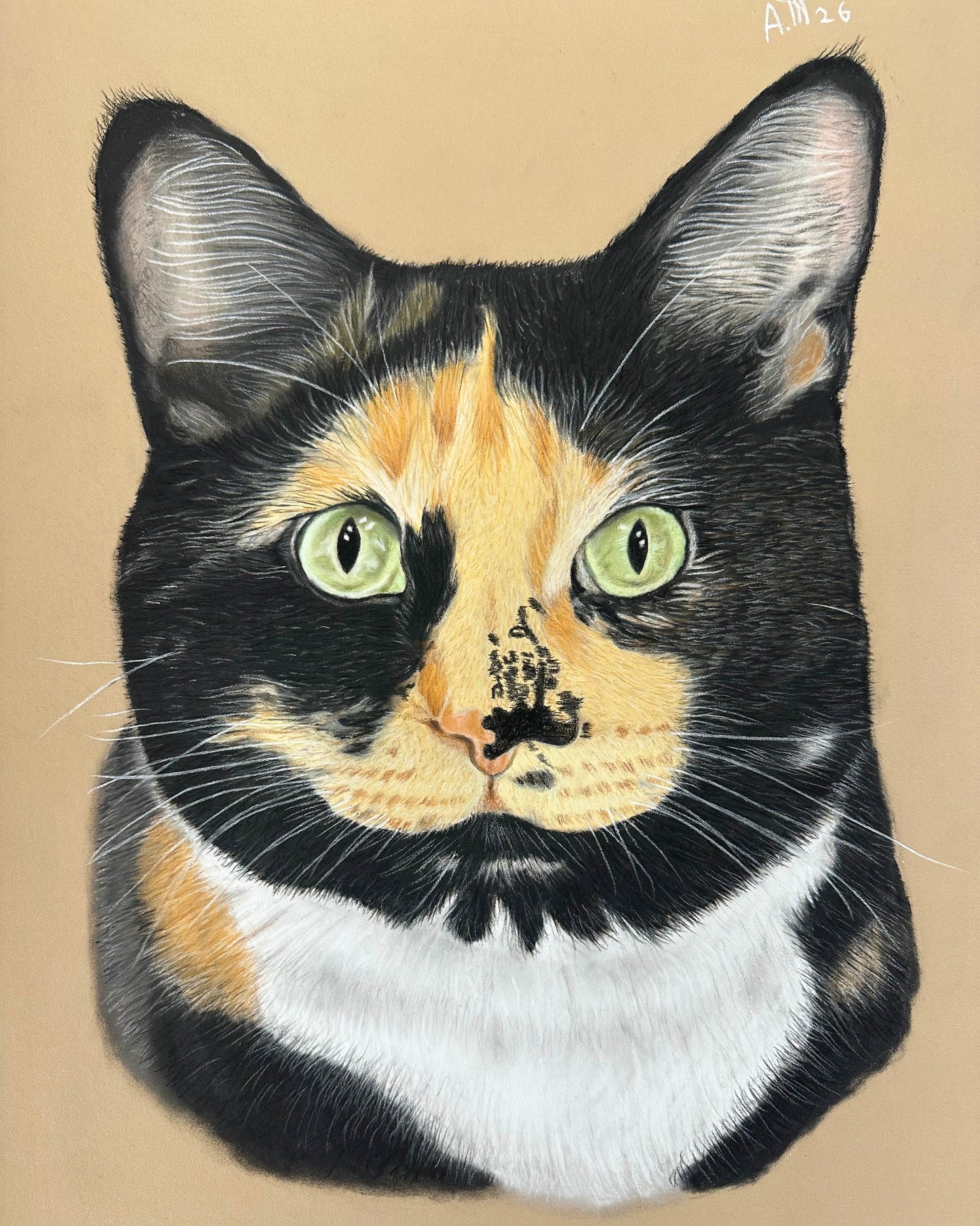 Commissioned Portraits – Custom Fine Art Pet & Animal Artwork