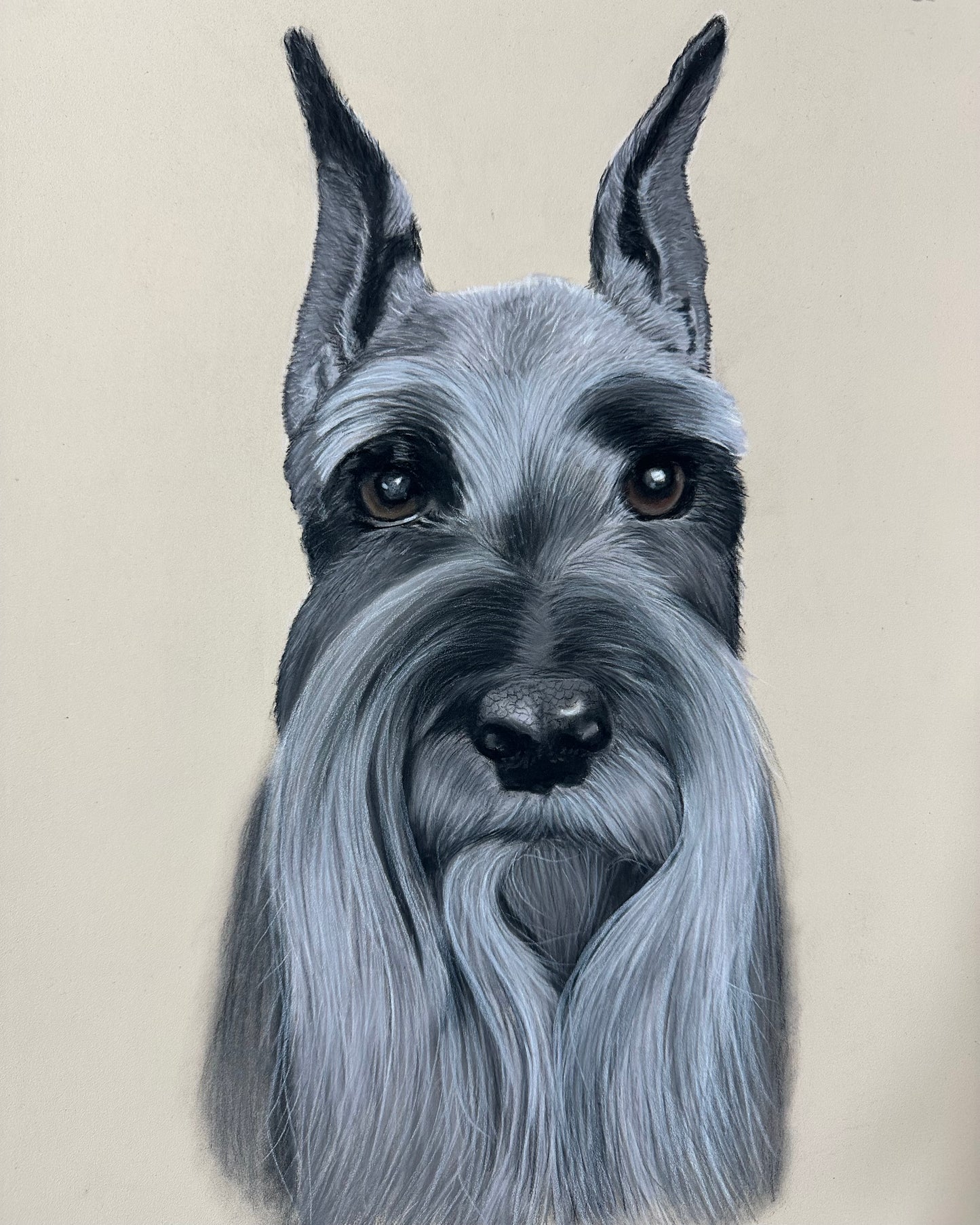 Commissioned Portraits – Custom Fine Art Pet & Animal Artwork