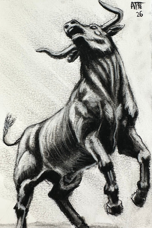 Untamed Bull – Original Charcoal Drawing 4 × 6