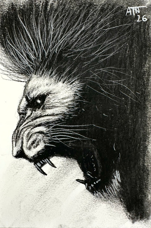 Roaring Lion – Original Charcoal Drawing 4 × 6