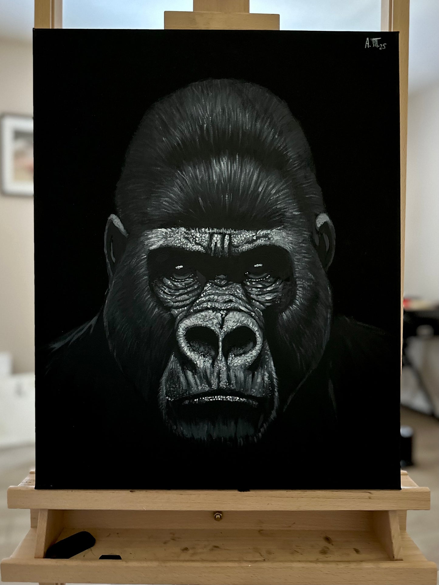 Monochrome: Gorilla