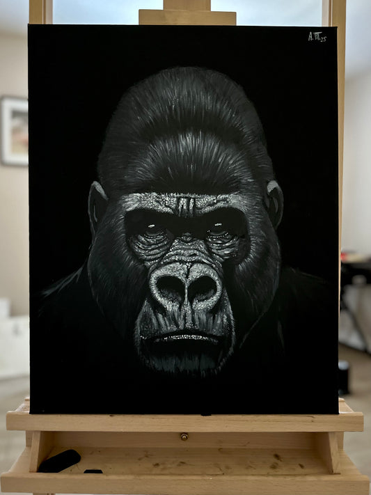 Monochrome: Gorilla