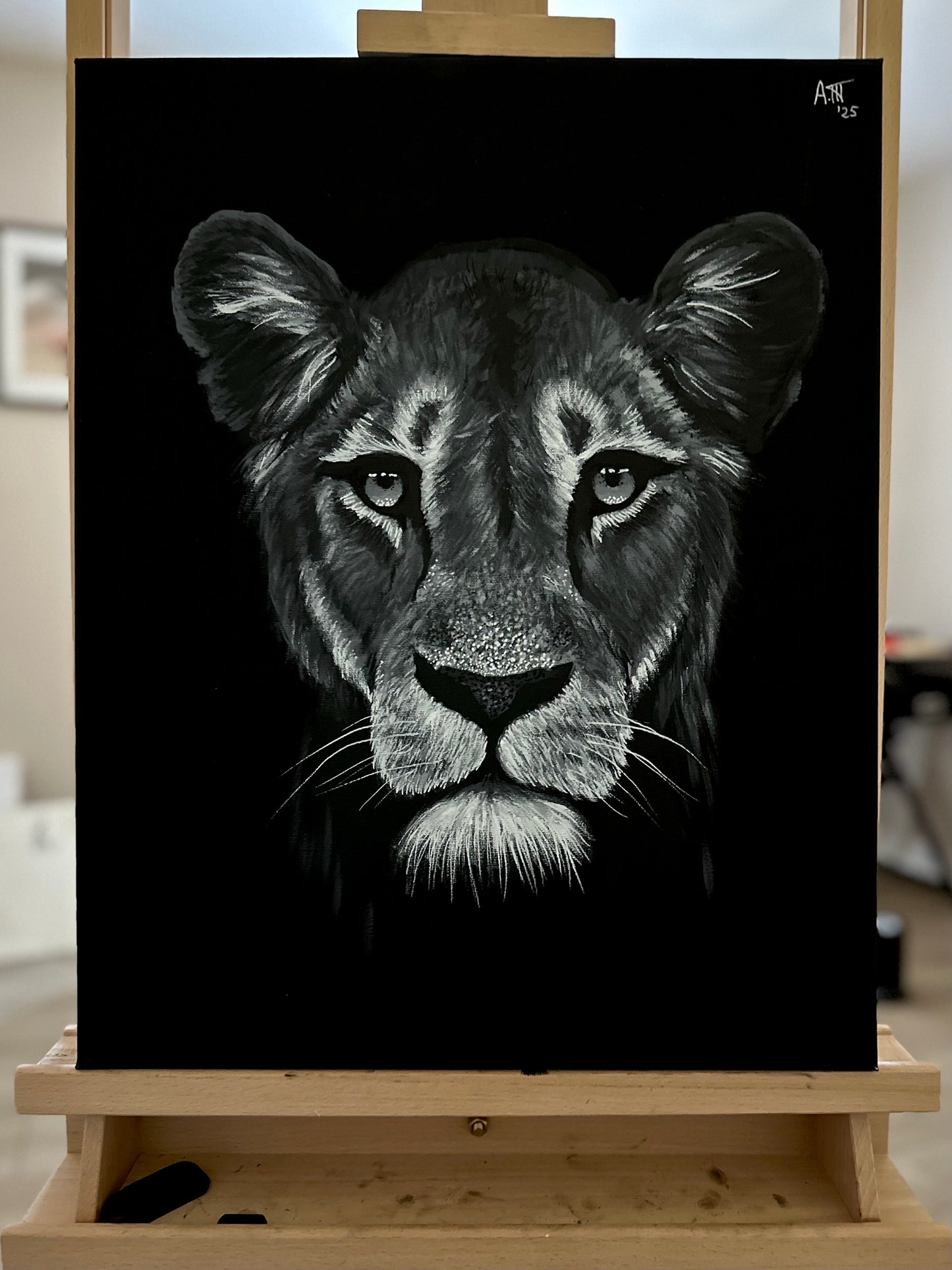 Monochrome: Lioness