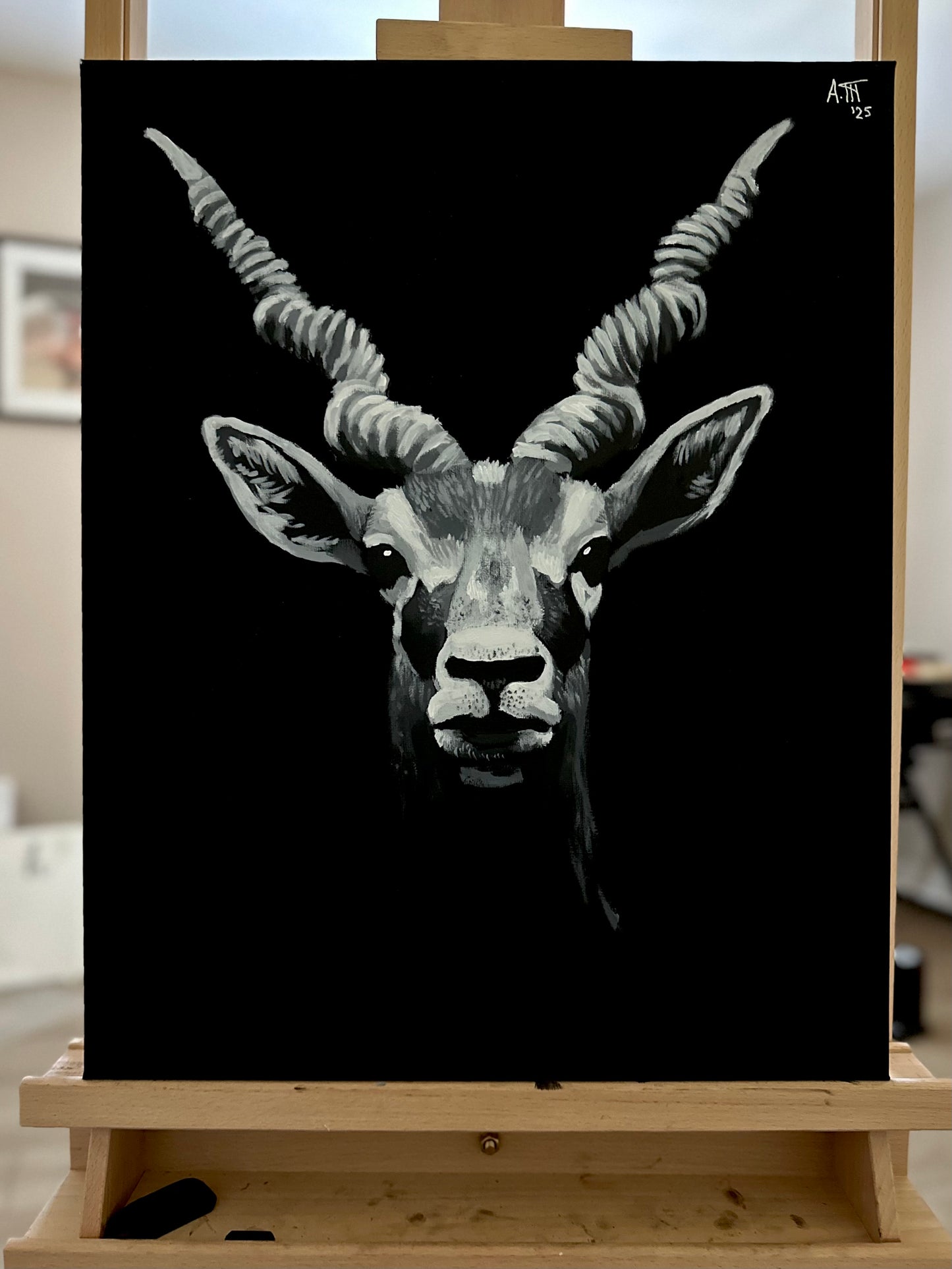 Monochrome: Antelope