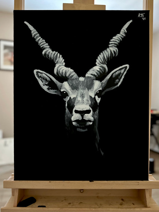 Monochrome: Antelope